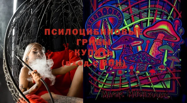 стаф Михайловск