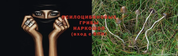 меф VHQ Михайлов